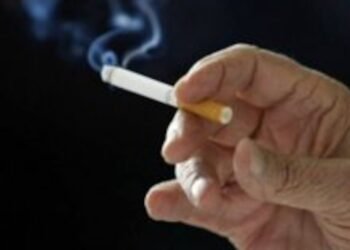 cigarro, embalagem, tabaco