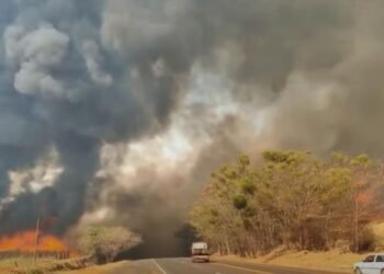 incêndios, focos, de incêndio