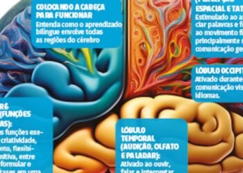 mente, massa, encefálica