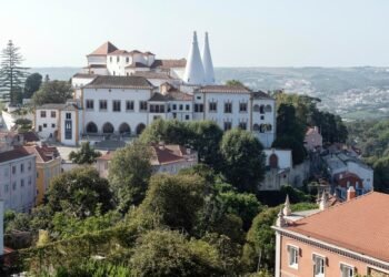 abalo, sísmico, tremor, terra, evento, sísmico