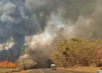 queimadas, focos, incêndios de, quemador.