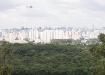 área, verde, espaço, público, local, de lazer