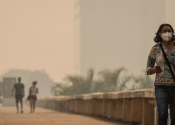 fogo, incêndios, poluição, partículas, ozônio