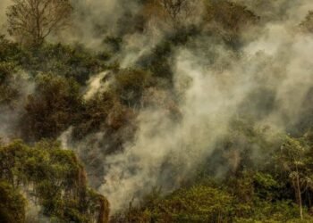 queimadas, focos, de incêndio, fogo