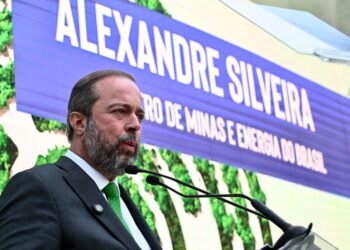autoridades, policiais, forças de segurança, órgãos de investigação;