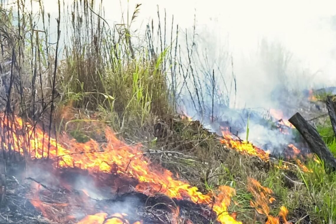 incêndios, incêndios florestais, focos de incêndio, fogo;