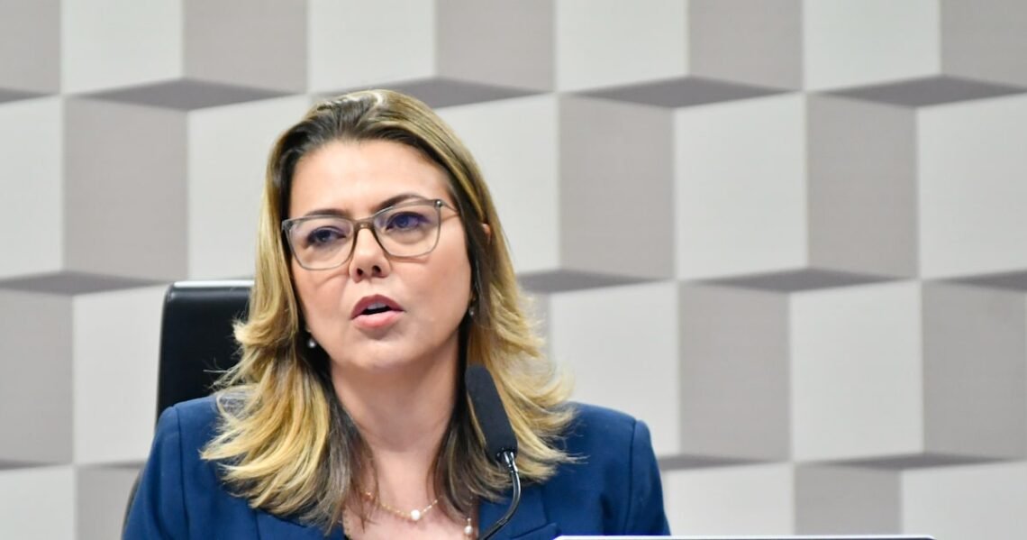 queimadas, fogo, incêndios florestais;