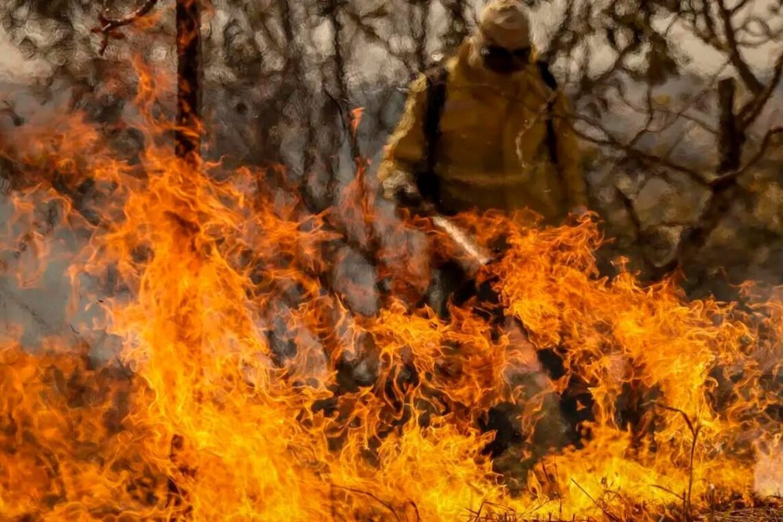 incêndios, focos, de queimadas, incêndios florestais;