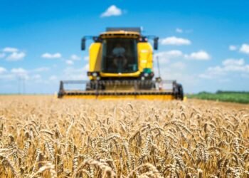 produção agrícola, produção pecuária, produção rural;