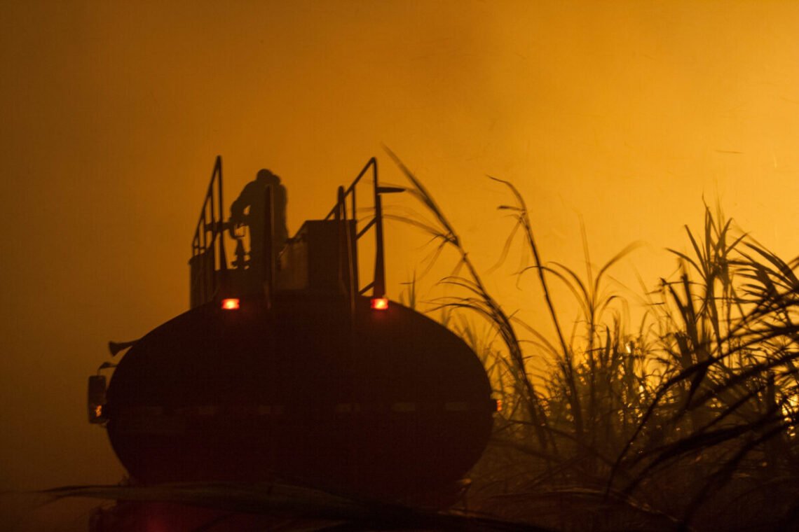 incêndios, incêndios florestais, focos de incêndios;