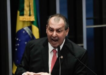 incêndios, incêndios florestais, fogo;