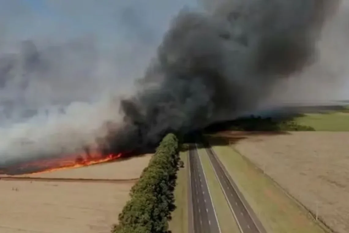 queimadas, incêndios florestais;