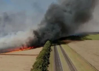 queimadas, incêndios florestais;