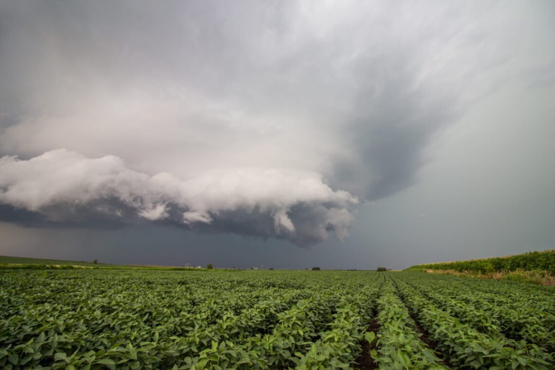 precipitação, tempestade, aguaceiro;