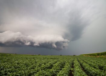 precipitação, tempestade, aguaceiro;