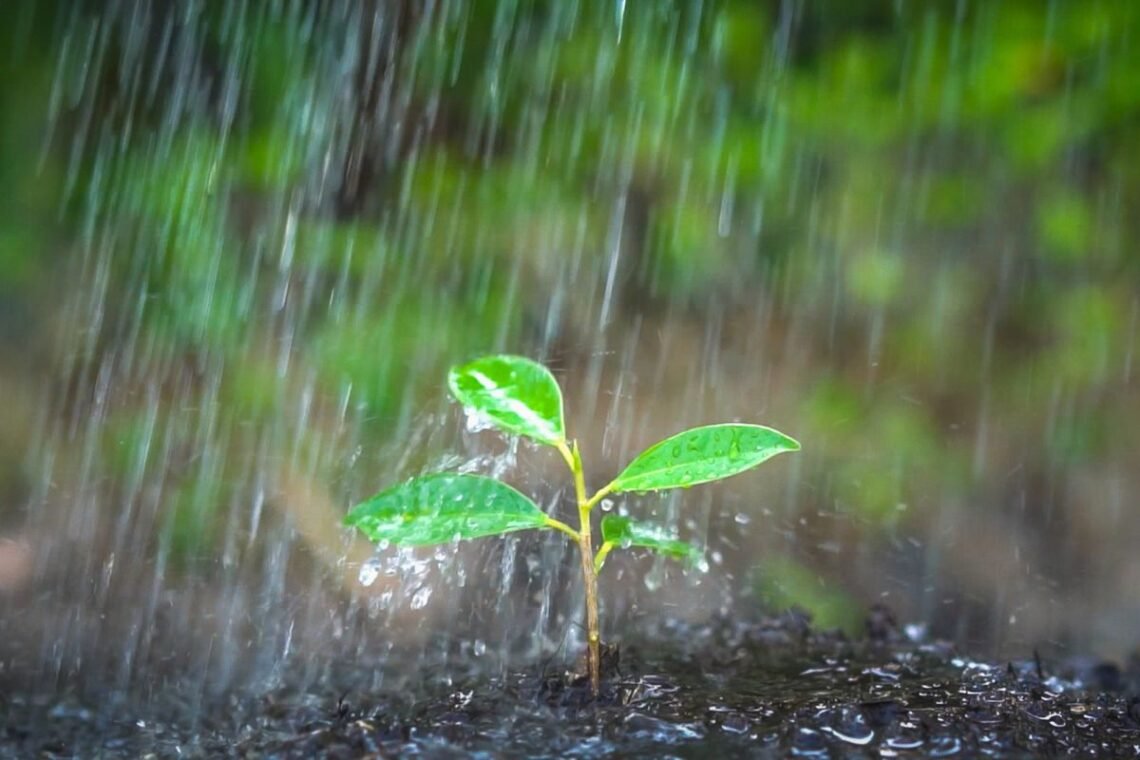 precipitações, chuvas, intensas, chuvas, extremas;