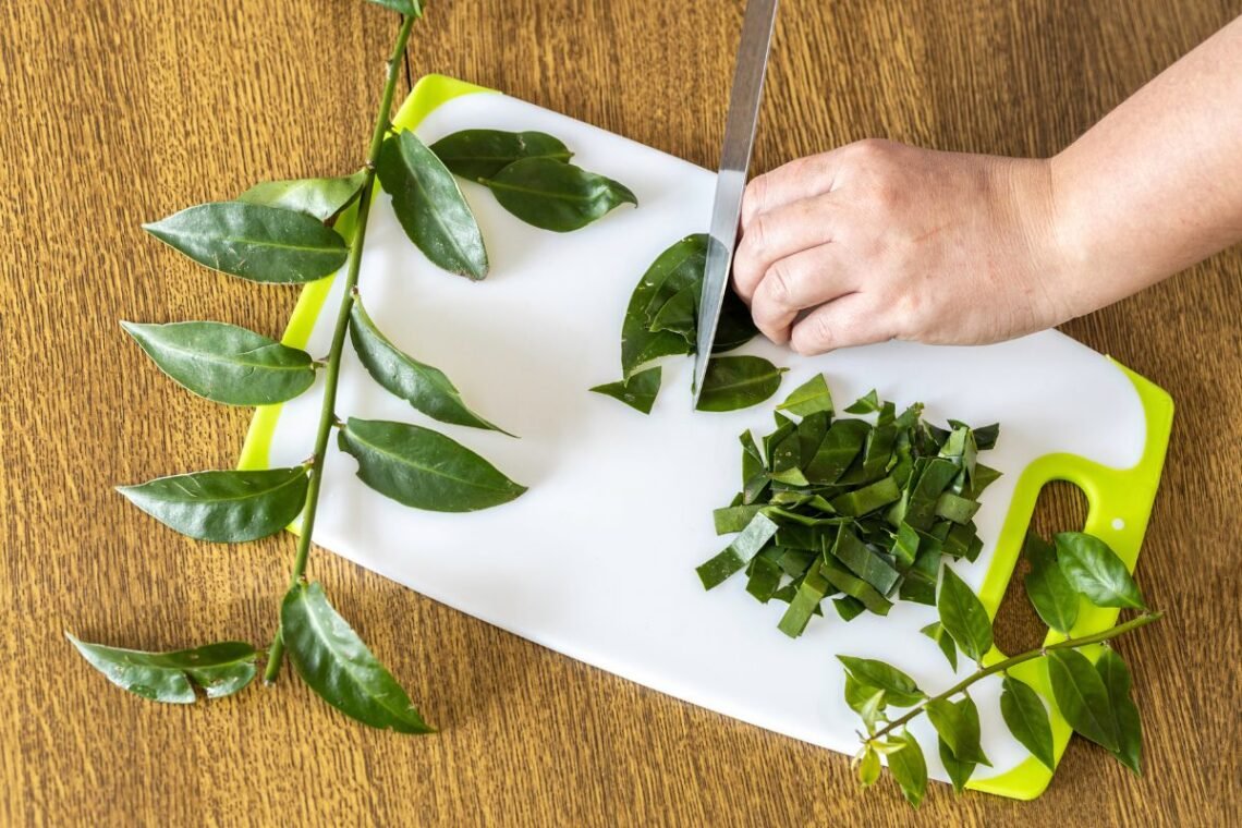 Plantas Comestíveis, Ervas, Daninhas, Espécies Vegetais;