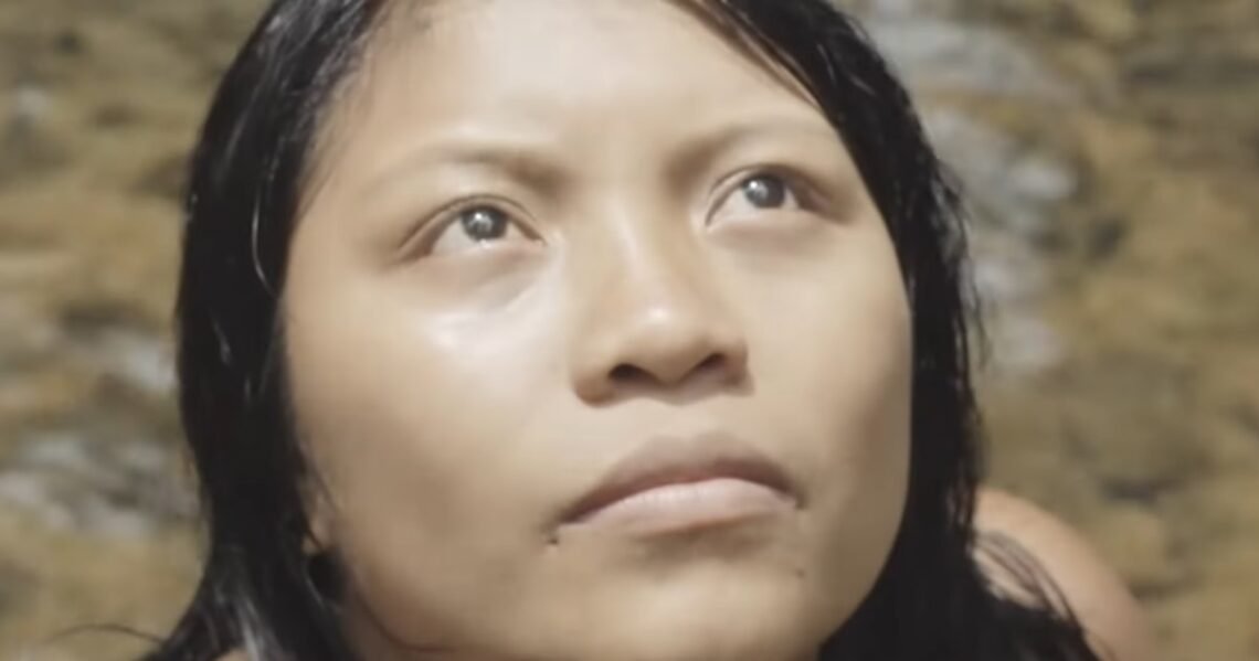 indígena, povos, originários;
