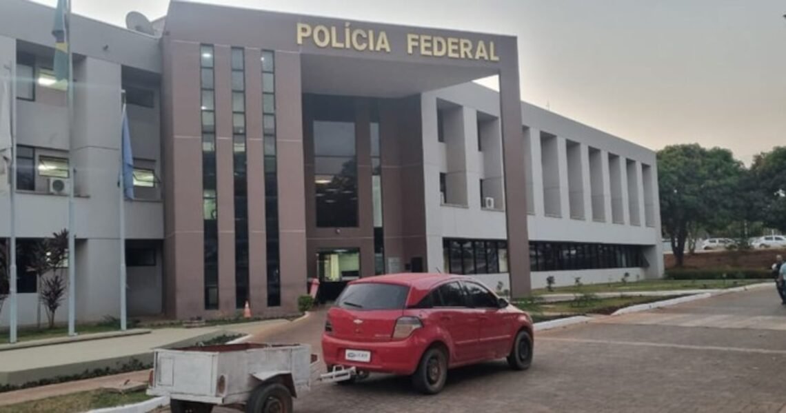 incendiar, fogo, queimada, incêndio florestal;