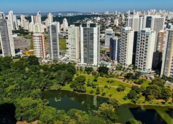 Levantamento, Estudo, Análise;
