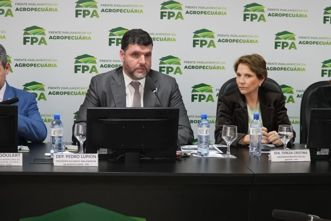 comunidade, indígena, etnia, população, povos, comunidades;