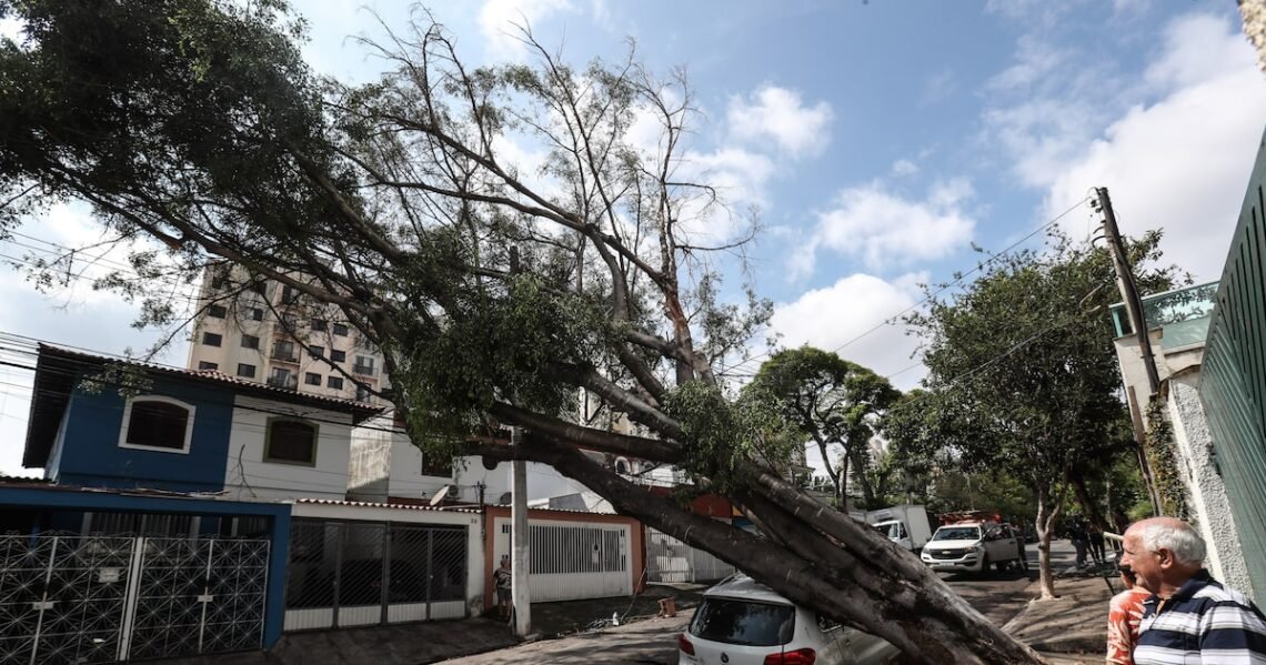 tempestade, chuva forte, vento forte;