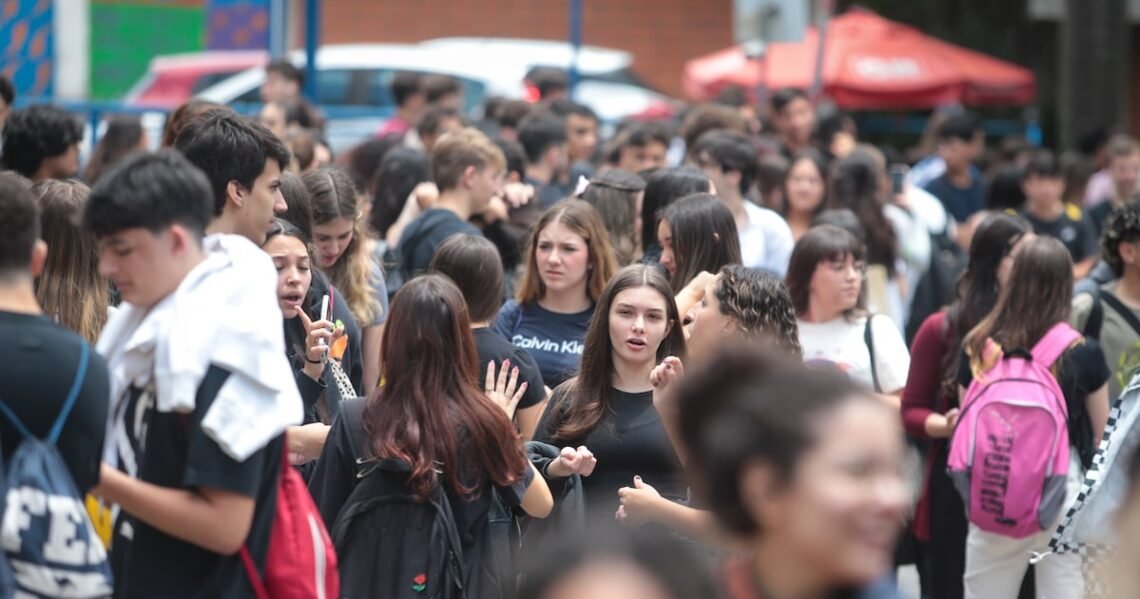 estabilidade, democracia, estado, de direito, direitos, humanos;