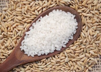 estoques, estoques públicos, estoques, estoques de arroz, estoques