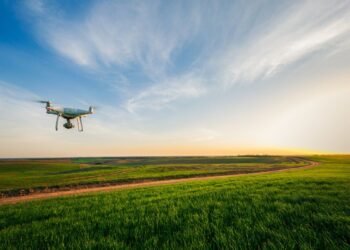 produtivo, agropecuário, agroindustrial;