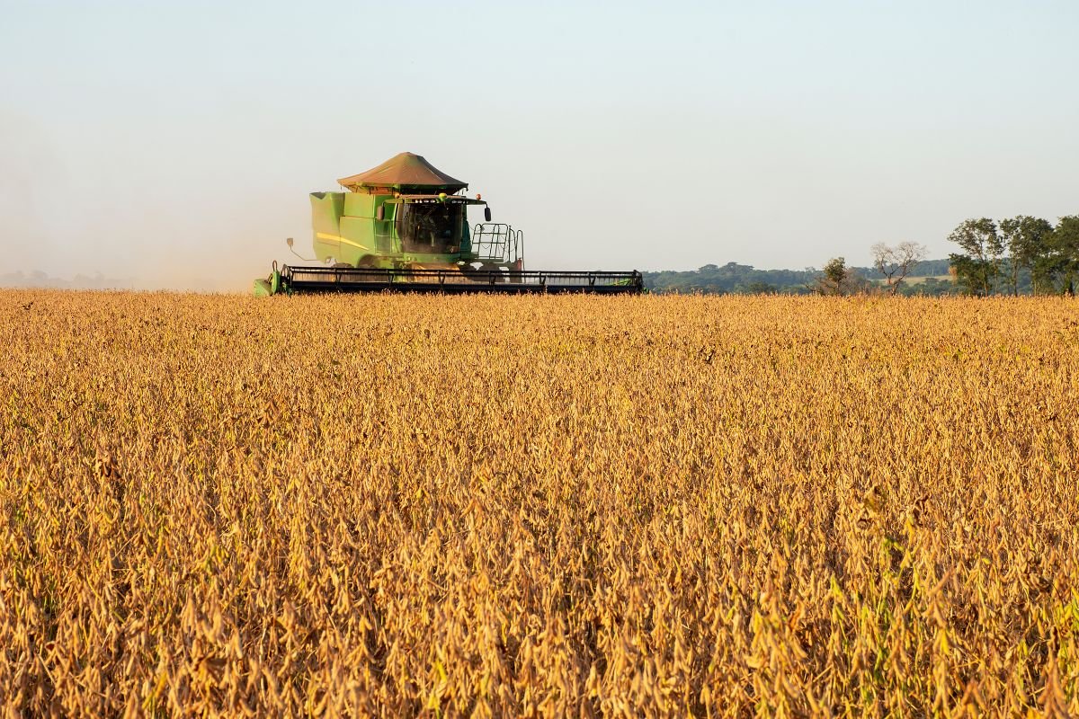 O Brasil Como Líder Em Exportação De Alimentos E Protagonista Da Cadeia ...