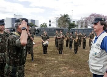 despolitização, partidarização, ideologização, militancia, radicalização';