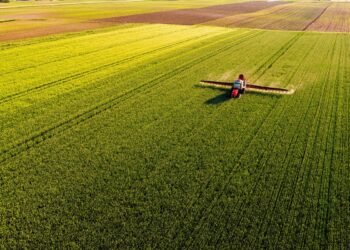 valor agregado da produção, 2025, valor agregado, valor agregado da produção de, valor agregado da produção de 2025;