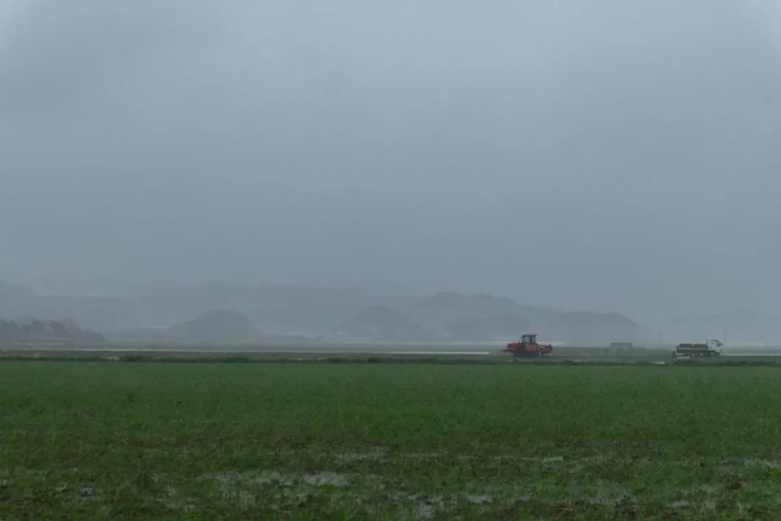 chuva, precipitação;