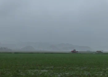 chuva, precipitação;