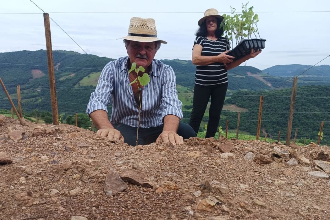 deslizamentos, desabamento, desmoronamento, desastre, climático;