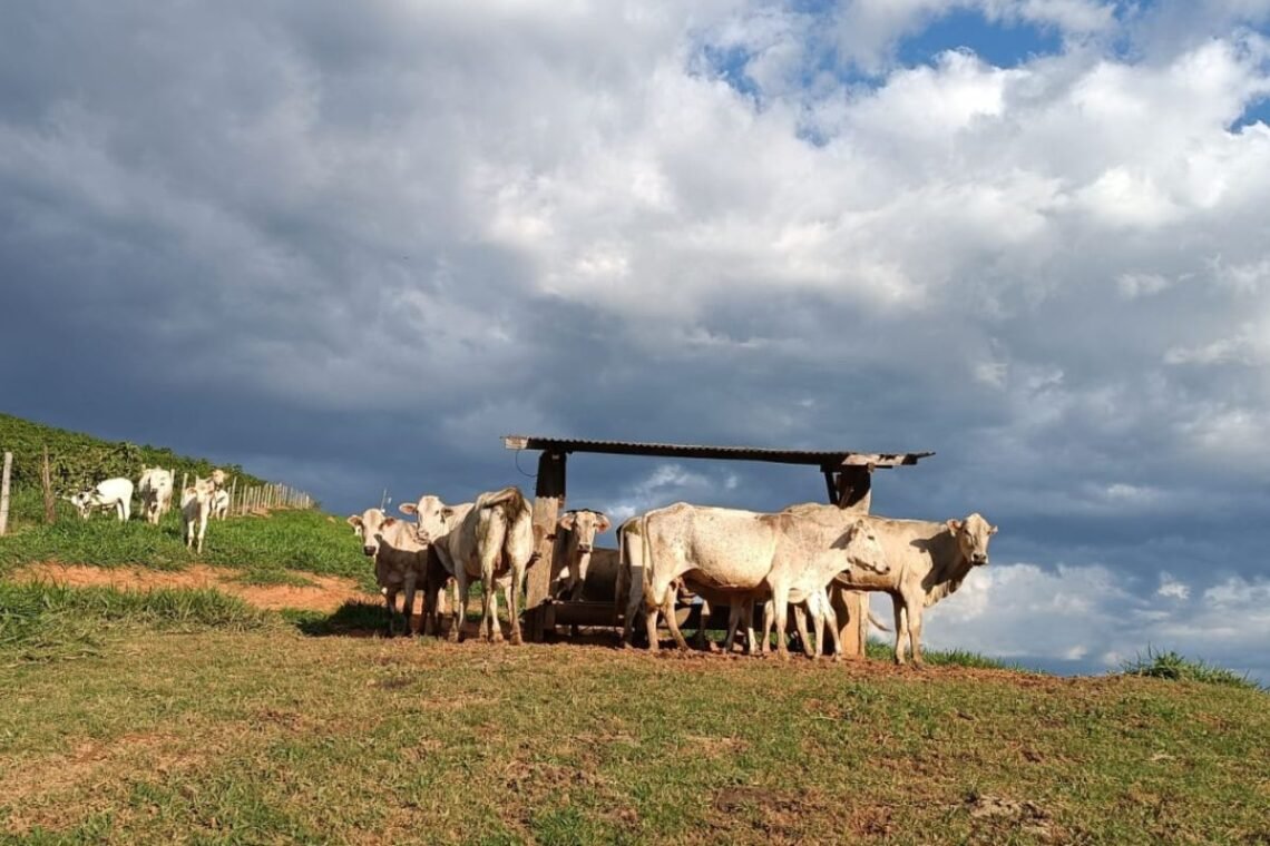 Foto: Fernanda Farias - Todos os direitos: @ Estadão